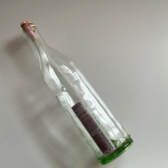 LIMITED EDITION HAND BLOWN PORFIDIO CACTUS GLASS BOTTLE - Picture 12 of 14